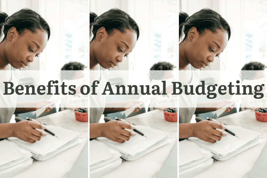 annual budget